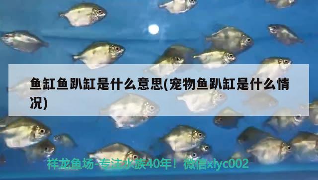 抚顺二手鱼缸出售信息大全电话号（抚顺二手水族箱市场在哪）