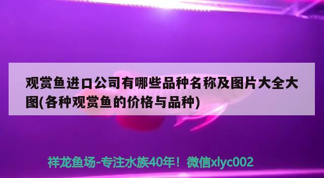 关于胶南哪里有卖鱼缸的实体店电话的信息 锦鲤池鱼池建设 第2张