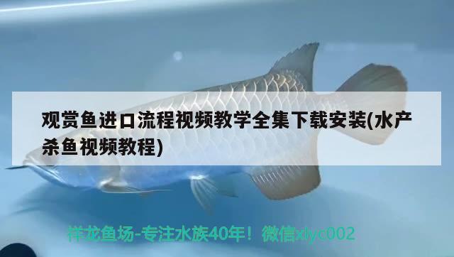 观赏鱼进口流程视频教学全集下载安装(水产杀鱼视频教程) 观赏鱼进出口