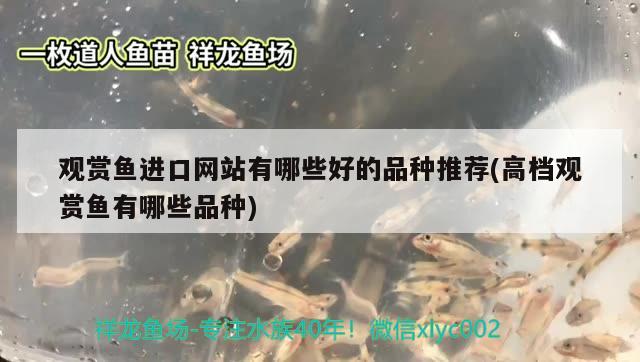 芒康水族批发市场：56个民族，第27个民族是啥族 观赏鱼水族批发市场 第2张