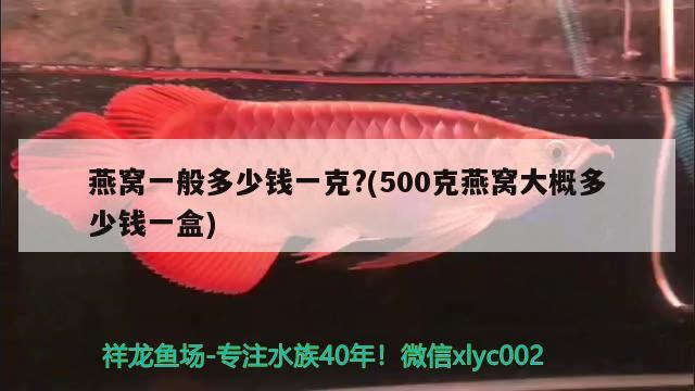 观赏鱼进口流程图解大全图片及价格视频下载(进口观赏鱼需要的手续) 观赏鱼进出口