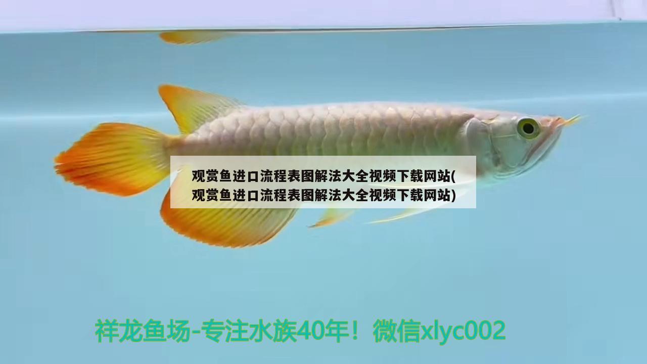 双流公兴卿亲水簇经营部（在双流区公兴水厂电话） 全国水族馆企业名录 第2张