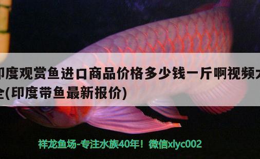 庆阳水族批发市场地址在哪里啊电话：庆阳周边最近的水上乐园 观赏鱼水族批发市场 第3张