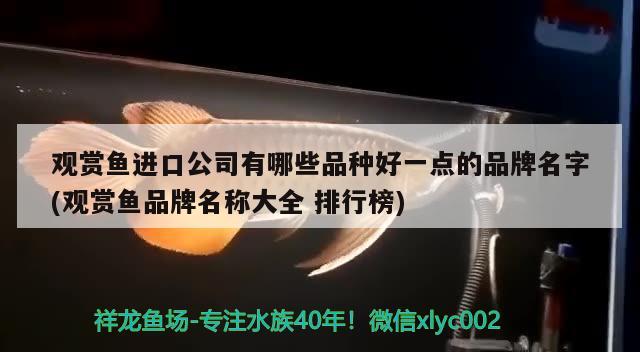 凌河区煊楷鱼缸店 全国水族馆企业名录 第3张