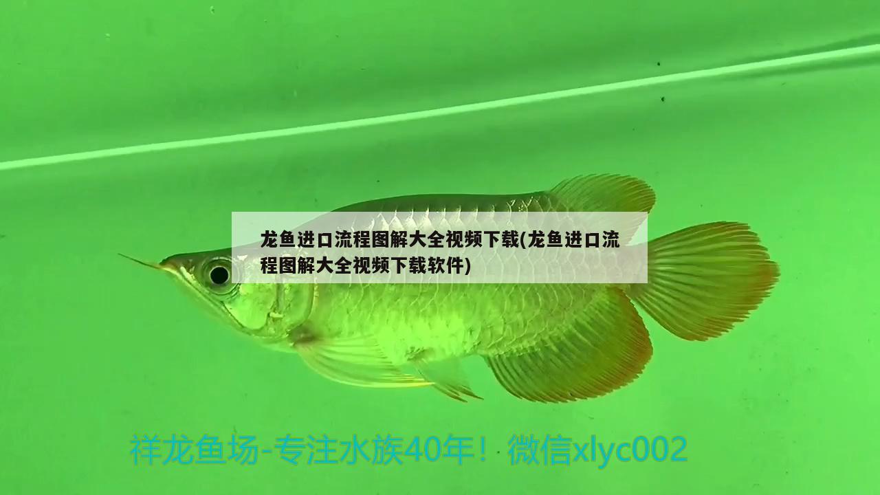 凌河区煊楷鱼缸店 全国水族馆企业名录 第1张