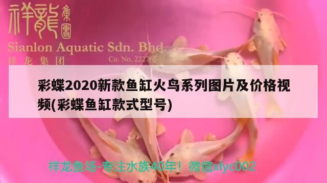 彩蝶2020新款鱼缸火鸟系列图片及价格视频(彩蝶鱼缸款式型号)