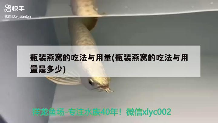 红龙鱼用灯先用6700k还是先用2700k（红龙用2700k灯好吗） 水族灯（鱼缸灯） 第1张