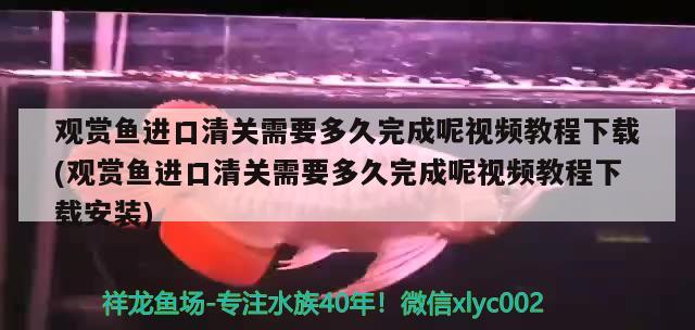 观赏鱼进口清关需要多久完成呢视频教程下载(观赏鱼进口清关需要多久完成呢视频教程下载安装)