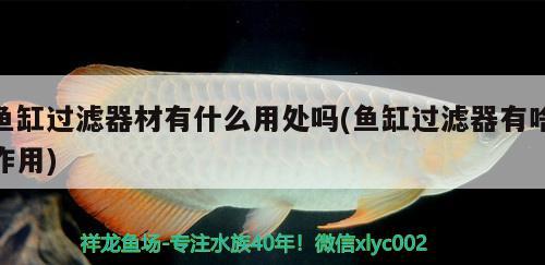 圆玻璃鱼缸怎样给鱼制造氧气视频讲解（圆玻璃鱼缸怎样给鱼制造氧气视频讲解教程） 充氧泵 第3张