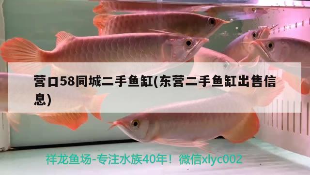 营口58同城二手鱼缸(东营二手鱼缸出售信息)