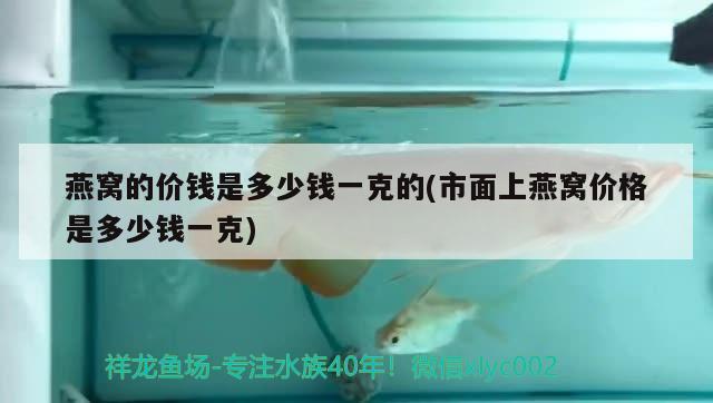 印度观赏鱼进口价格表最新图片视频下载(印度带鱼最新报价) 观赏鱼进出口