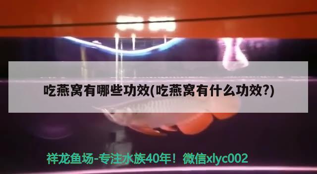 上滤鱼缸内水流方向示意图(底滤缸水流方向) 黑云鱼 第3张