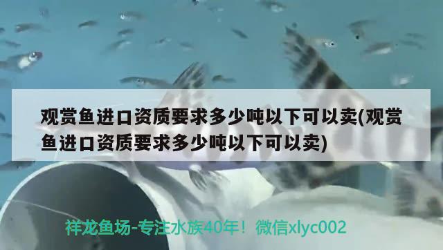 观赏鱼进口资质要求多少吨以下可以卖(观赏鱼进口资质要求多少吨以下可以卖)