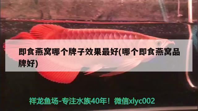 即食燕窝哪个牌子效果最好(哪个即食燕窝品牌好) 马来西亚燕窝