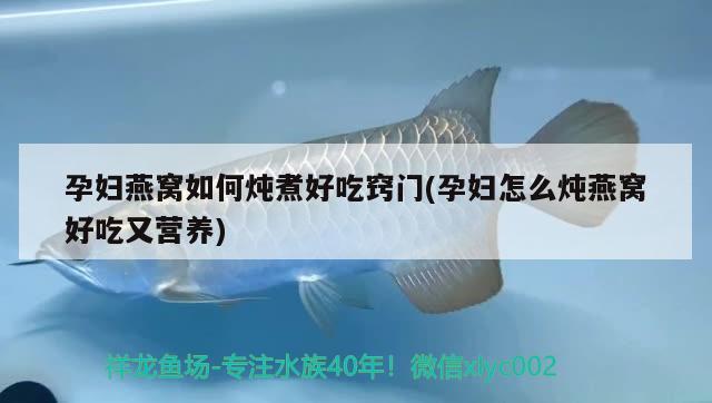 孕妇燕窝如何炖煮好吃窍门(孕妇怎么炖燕窝好吃又营养) 马来西亚燕窝