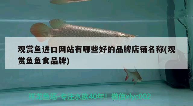 观赏鱼进口网站有哪些好的品牌店铺名称(观赏鱼鱼食品牌)