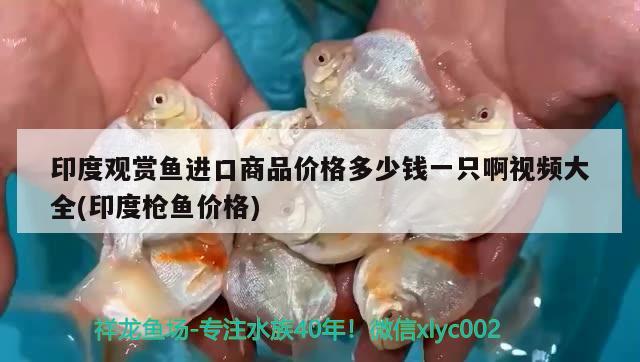 滑县龙情花卉店 全国水族馆企业名录 第3张