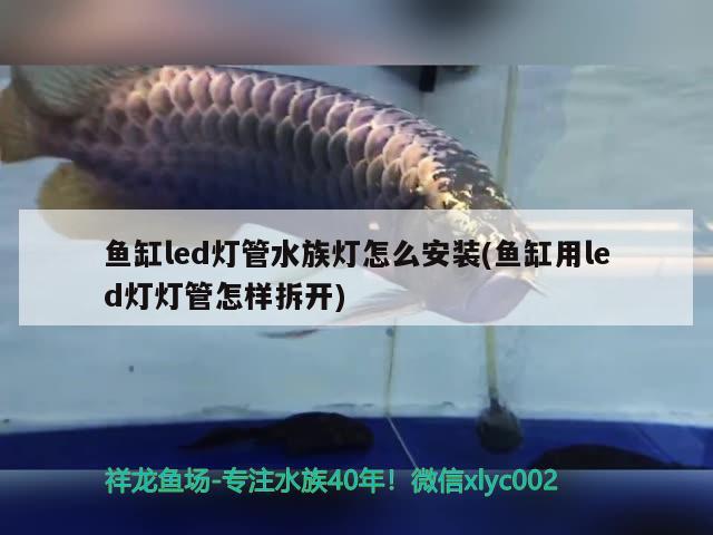 鱼缸led灯管水族灯怎么安装(鱼缸用led灯灯管怎样拆开) 慈雕鱼