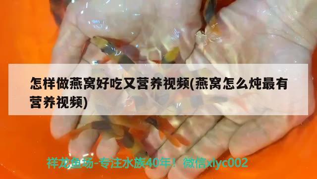 鱼缸风水摆放位置有哪些(鱼缸摆放的位置风水) 鱼缸风水 第1张