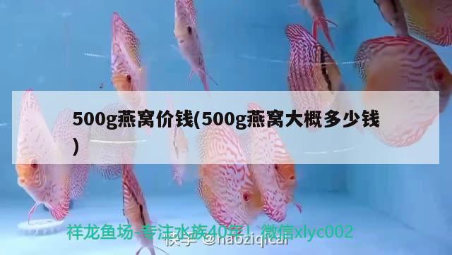 500g燕窝价钱(500g燕窝大概多少钱)