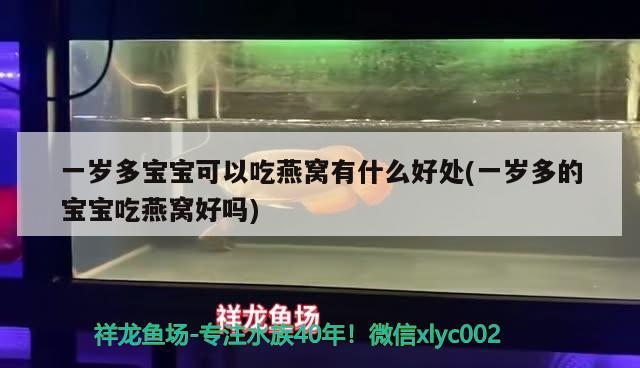 通化市东昌区大众水族馆（通化大众浴池） 全国水族馆企业名录 第1张