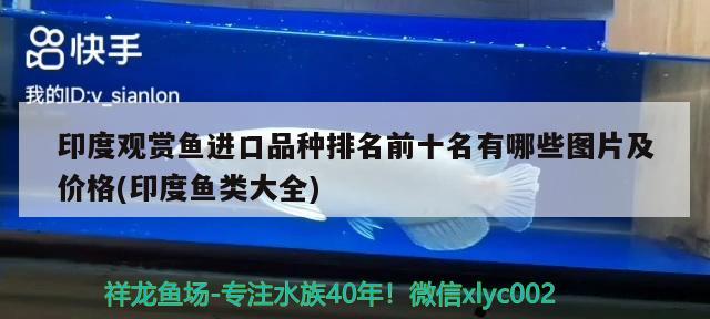 泰国珍珠罗汉鱼，什么牌子的鱼食最好，罗汉鱼的种类有哪些