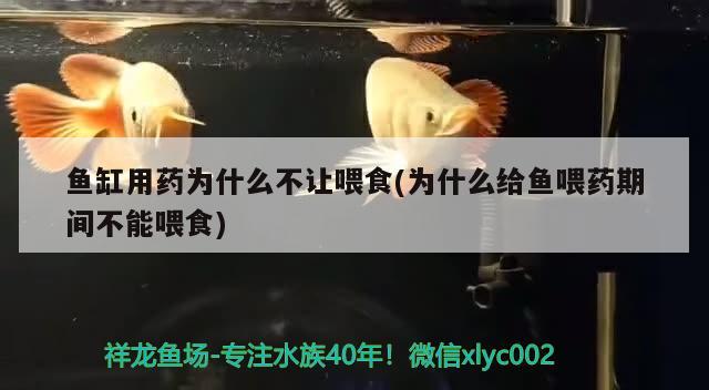 哈密鱼缸底柜哪里有卖的哈密鱼缸底柜的购买途径，哈密鱼缸底柜哪里有卖哈密鱼缸底柜哪里有卖的呀及哈密鱼缸底柜哪里有卖的呀 一眉道人鱼 第2张