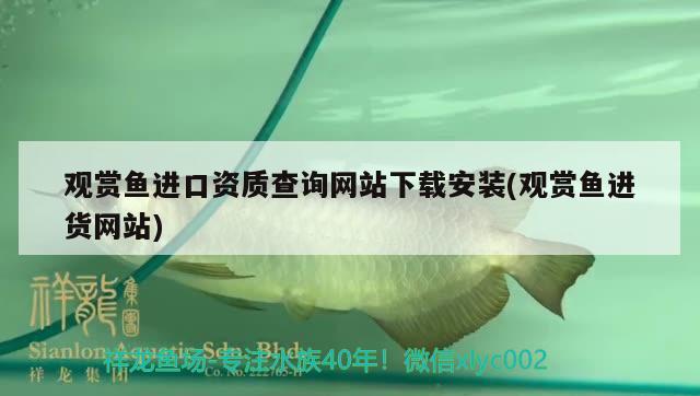观赏鱼进口资质查询网站下载安装(观赏鱼进货网站)
