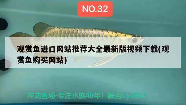 观赏鱼进口网站推荐大全最新版视频下载(观赏鱼购买网站) 观赏鱼进出口