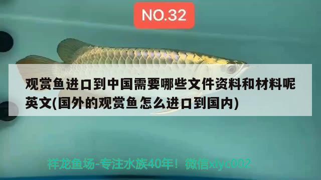 观赏鱼进口到中国需要哪些文件资料和材料呢英文(国外的观赏鱼怎么进口到国内) 观赏鱼进出口