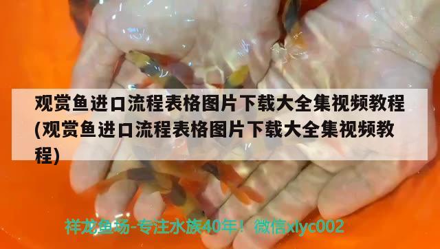 墨绿玻璃陨石能盘玩吗，玻璃陨石目前正常的价格是多少钱一克