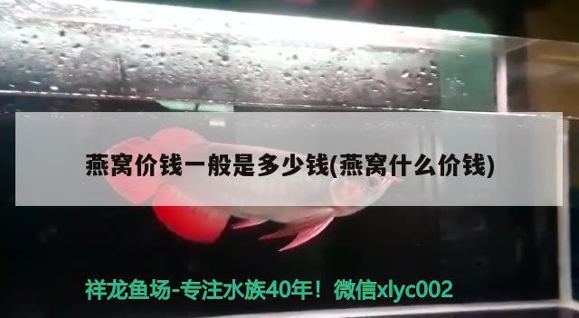 燕窝价钱一般是多少钱(燕窝什么价钱) 马来西亚燕窝 第4张