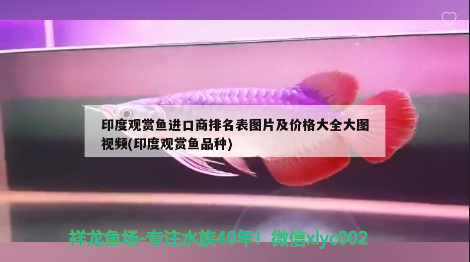 墨绿玻璃陨石能盘玩吗，玻璃陨石目前正常的价格是多少钱一克