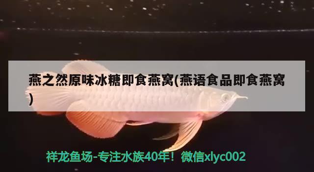 观赏鱼身上长白毛什么病怎么治加食用盐可以吗（鱼长白毛了用盐怎么治疗） 虎鱼百科 第3张