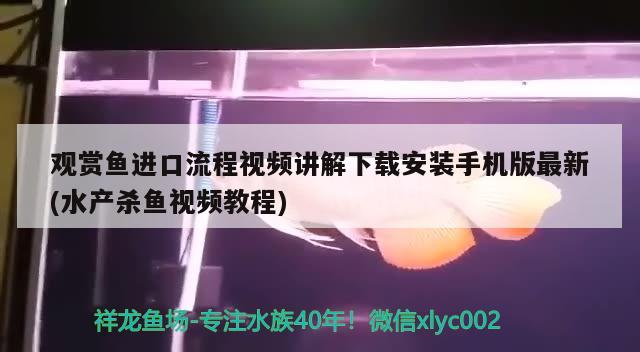 观赏鱼进口流程视频讲解下载安装手机版最新(水产杀鱼视频教程)