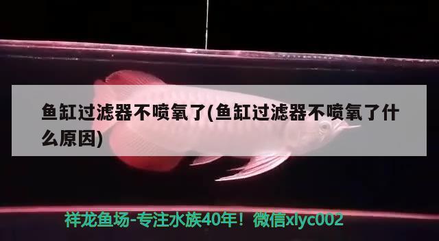 鱼缸过滤器不喷氧了(鱼缸过滤器不喷氧了什么原因) 虎鱼鱼苗 第2张