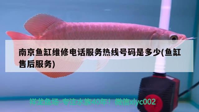 南京鱼缸维修电话服务热线号码是多少(鱼缸售后服务) 观赏鱼进出口