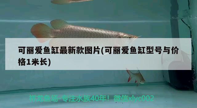 可丽爱鱼缸最新款图片(可丽爱鱼缸型号与价格1米长) 海象鱼 第2张