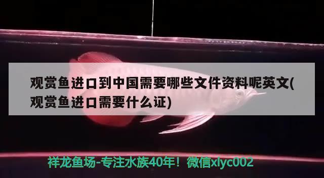 观赏鱼进口到中国需要哪些文件资料呢英文(观赏鱼进口需要什么证) 观赏鱼进出口