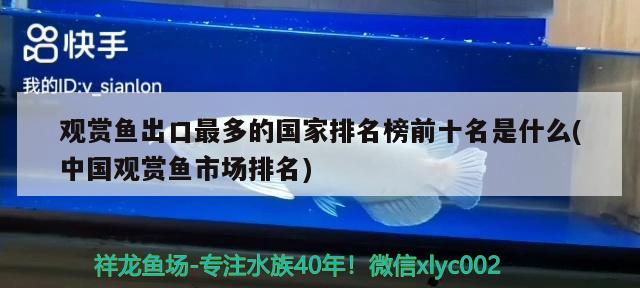 观赏鱼出口最多的国家排名榜前十名是什么(中国观赏鱼市场排名) 观赏鱼进出口