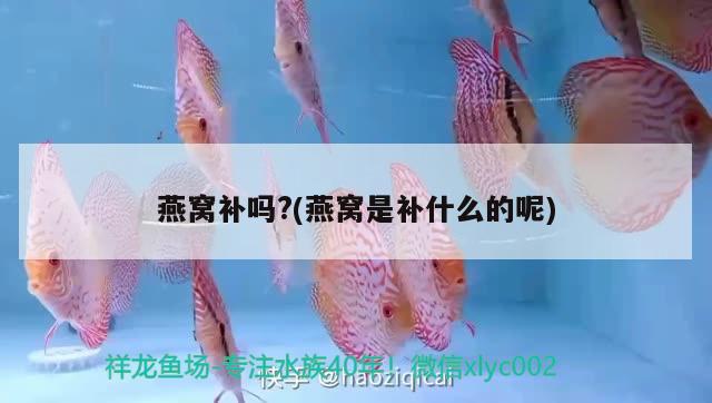 广州炜煌眼镜店 全国水族馆企业名录 第1张