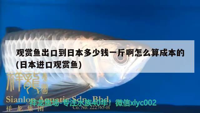 观赏鱼出口到日本多少钱一斤啊怎么算成本的(日本进口观赏鱼) 观赏鱼进出口