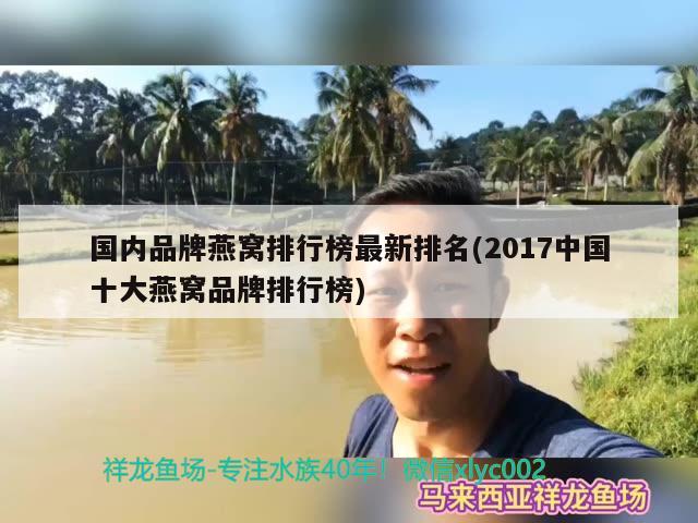 印尼龙鱼进口价格走势分析图表大全集视频讲解(印尼龙鱼真实价格) 观赏鱼进出口