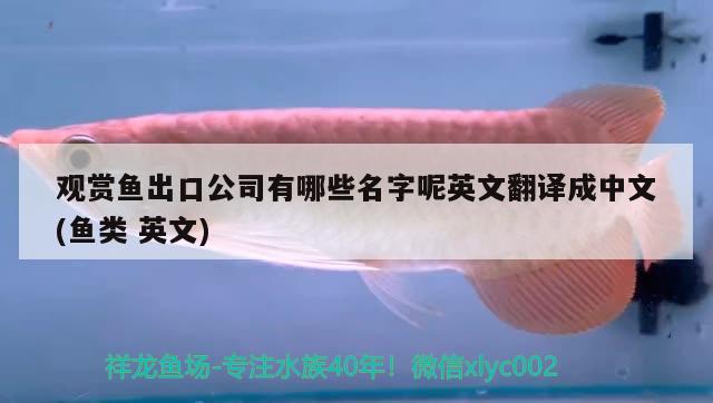 宣城水族馆:活动量有点大