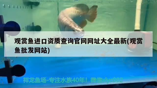 观赏鱼进口资质查询官网网址大全最新(观赏鱼批发网站)