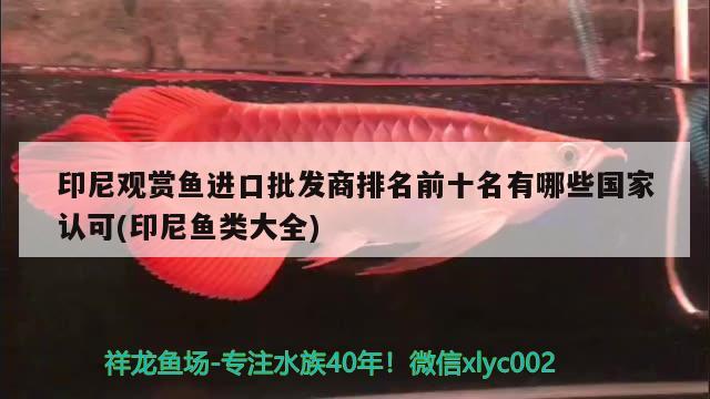 印尼观赏鱼进口批发商排名前十名有哪些国家认可(印尼鱼类大全) 观赏鱼进出口