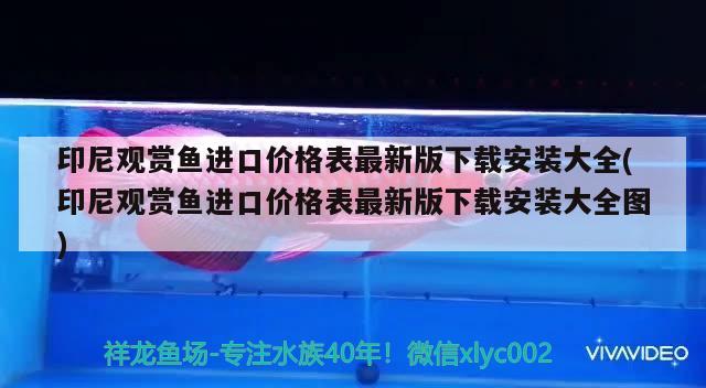 印尼观赏鱼进口价格表最新版下载安装大全(印尼观赏鱼进口价格表最新版下载安装大全图)