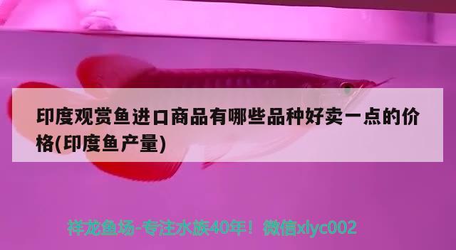 加氧是在主缸里好还是在过滤缸里好过滤缸里加氧的话放哪个格里啊 斑马狗头鱼 第2张