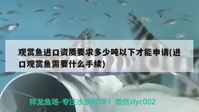 观赏鱼进口资质要求多少吨以下才能申请(进口观赏鱼需要什么手续)