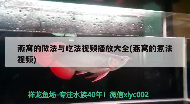 孕妇燕窝怎么炖好吃(孕妇吃的燕窝怎么炖更好) 马来西亚燕窝